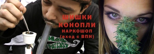 spice Каменногорск