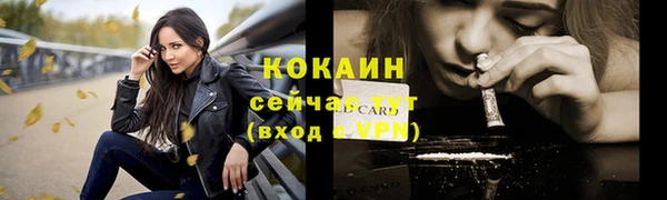 крисы Каменка