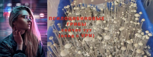 гидропоника Алзамай
