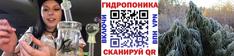 Марихуана планчик  Краснообск 